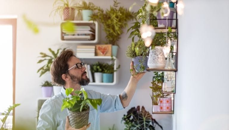 Fiori e piante da non regalare in alcune occasioni