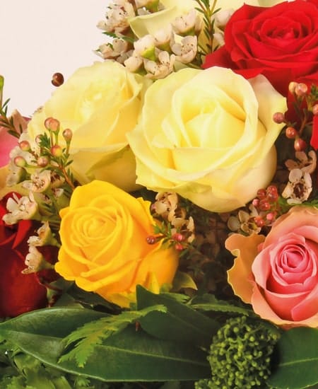 Rose gialle