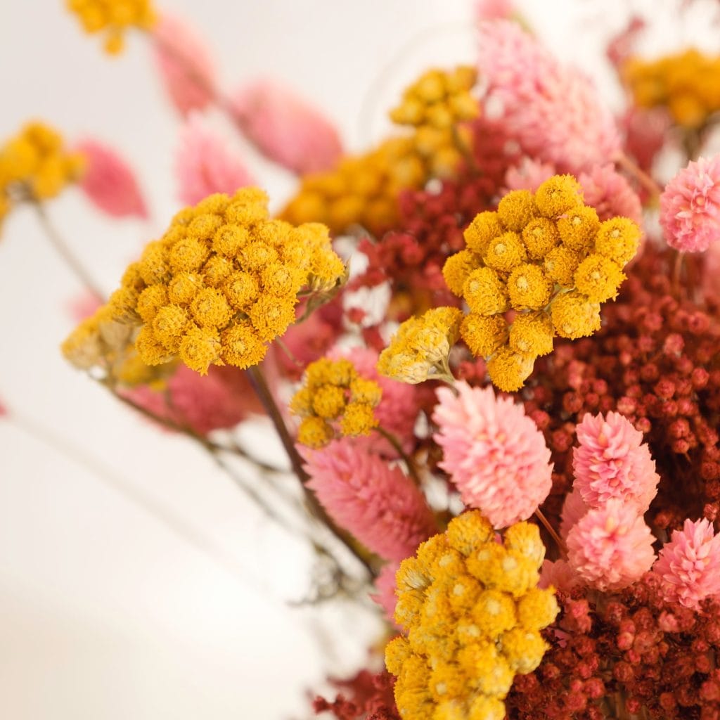 fiori gialli secchi