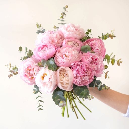 mazzo di peonie rose