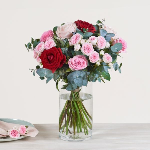Rose in vaso per mamma