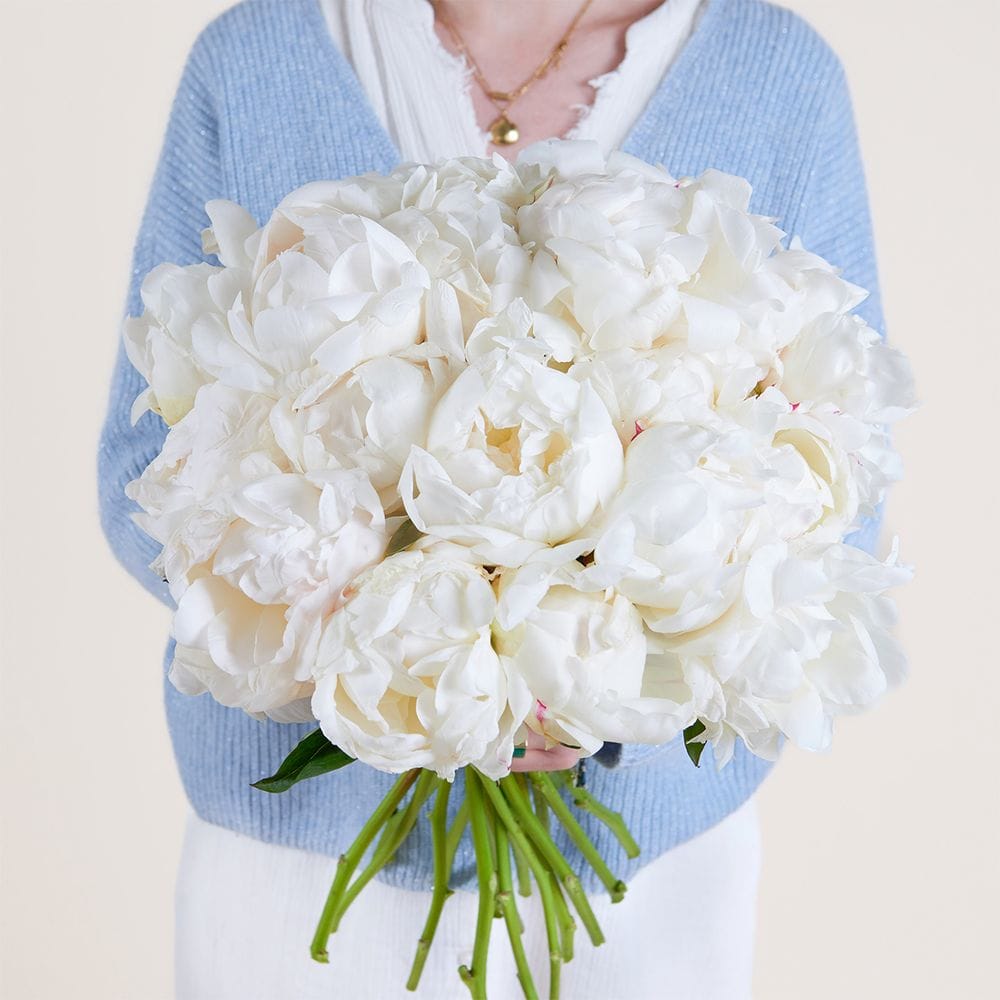 Fiori bianchi