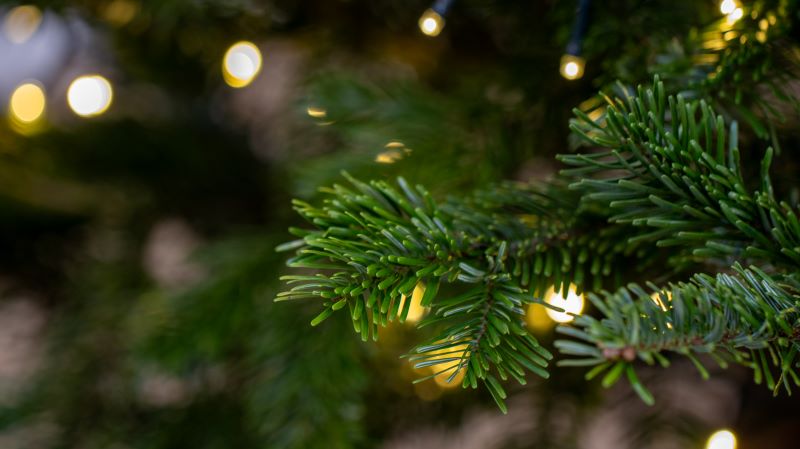 Albero di natale natural