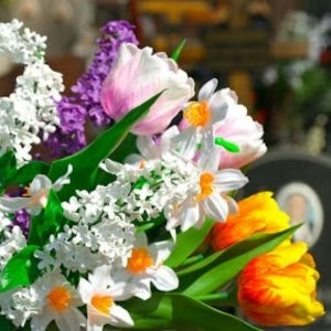 Fiori multicolori per Ognissanti