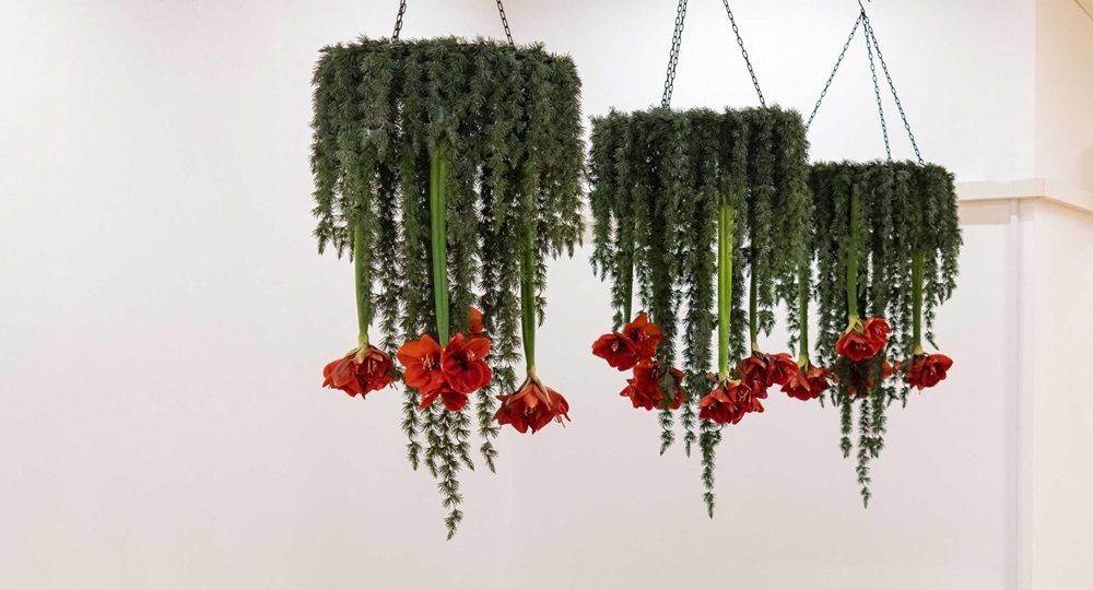 decorazioni natalizie