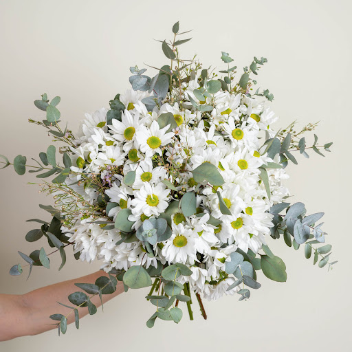 Bouquet di margherite