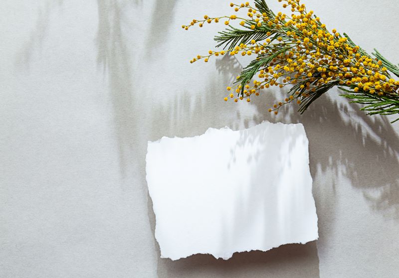 Auguri per la festa della donna con mimosa