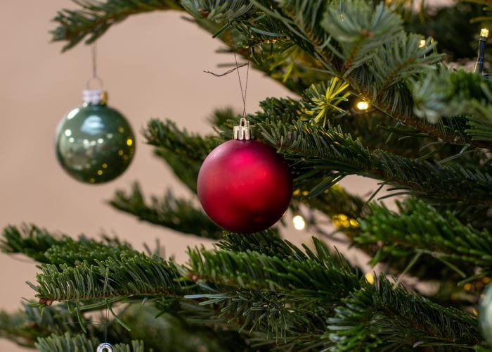 Decorazioni per albero di natale