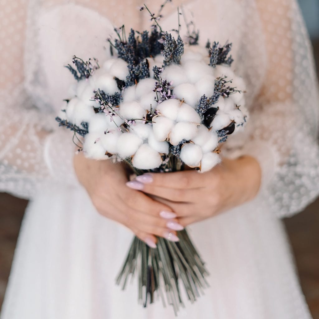 Mazzo di fiori di cotone