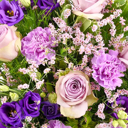 fiori viola
