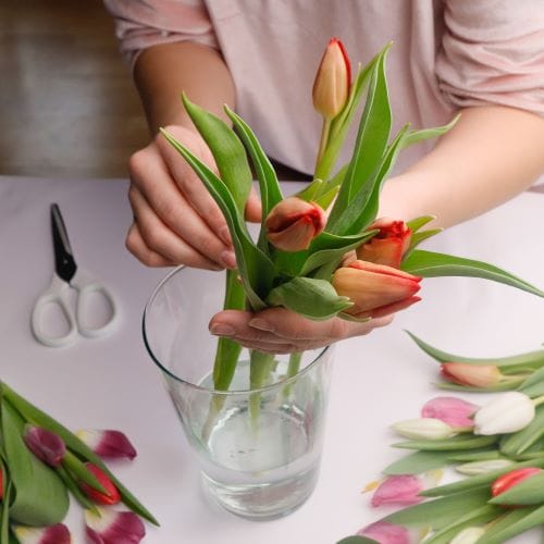 Ragazza che pulisce i tulipani chiusi recisi per metterli in un vaso di vetro.