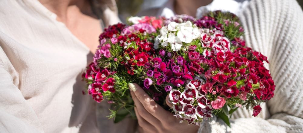 garofano cinese mazzo di fiori