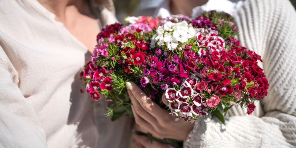 Bouquet di garofani