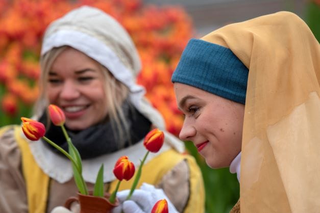 il tulip day