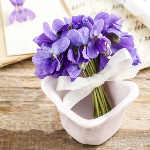 Mazzo di viola