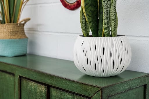 pianta in vaso bianco sopra un mobile in casa