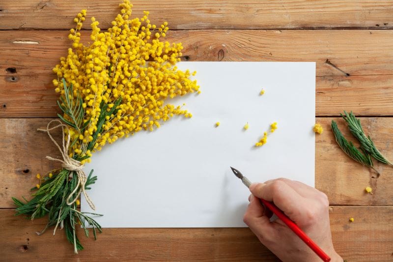 biglietto con un disegno mimose