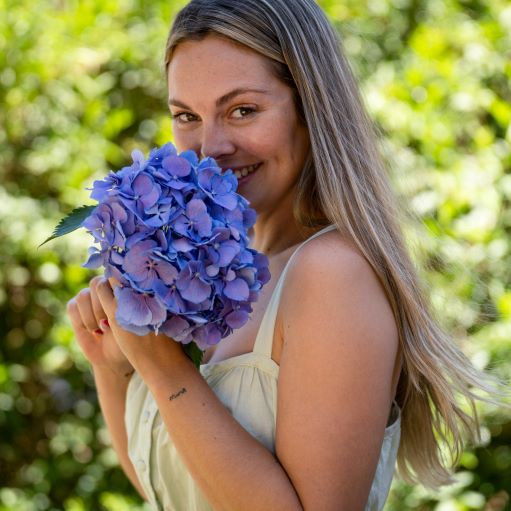 Regalare ortensie ad una regazza