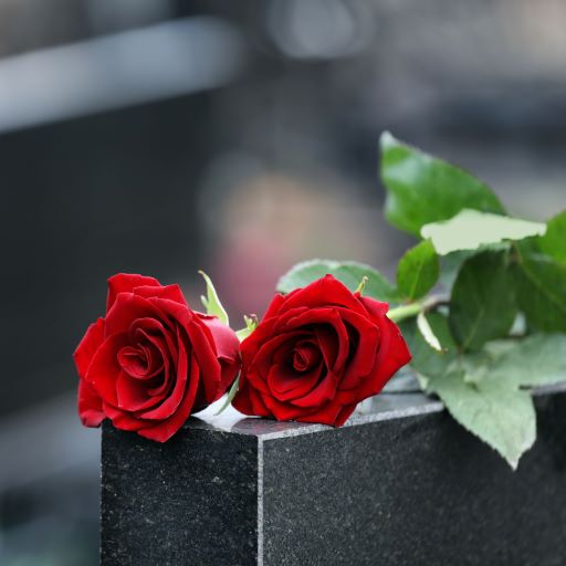 rosa rossa tumba
