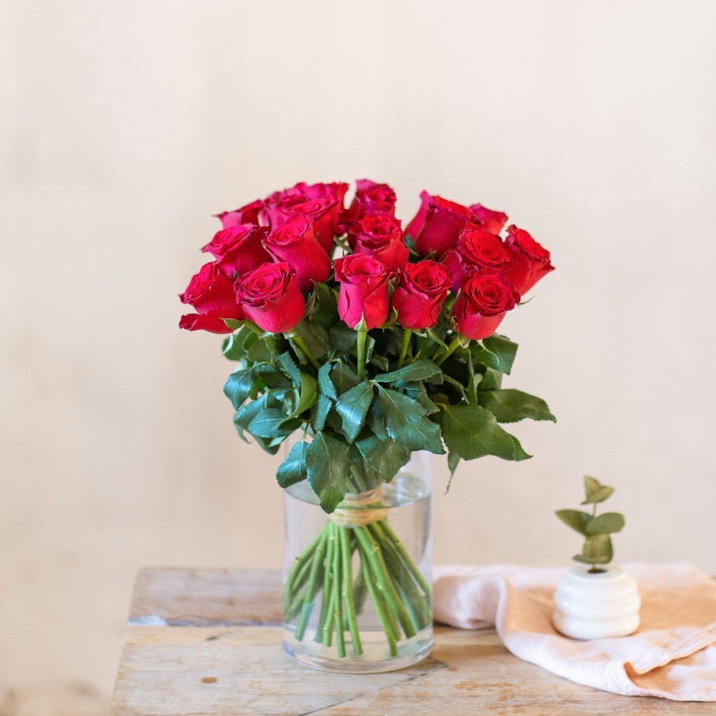 rose rosse recise