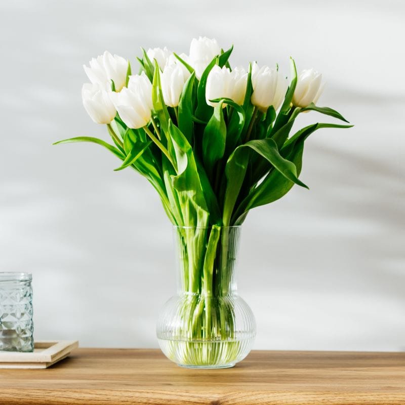 Tulipani bianchi