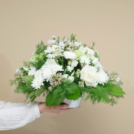 White Composition