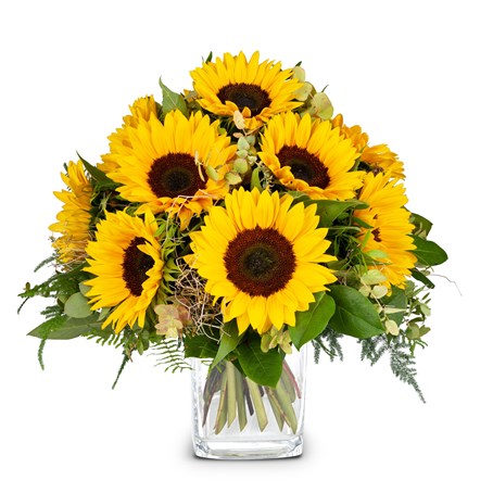 Bouquet Sunflowers Pure