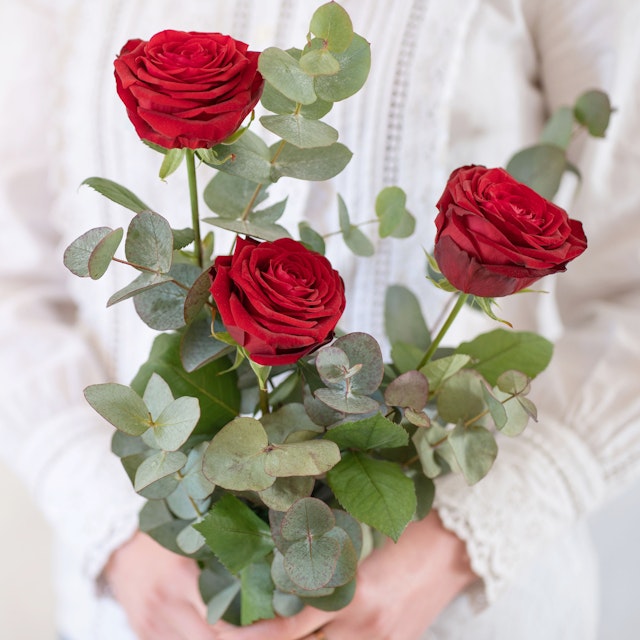 Tre rose rosse