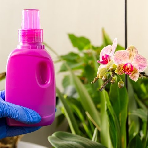 3. Fertilizzante e substrato