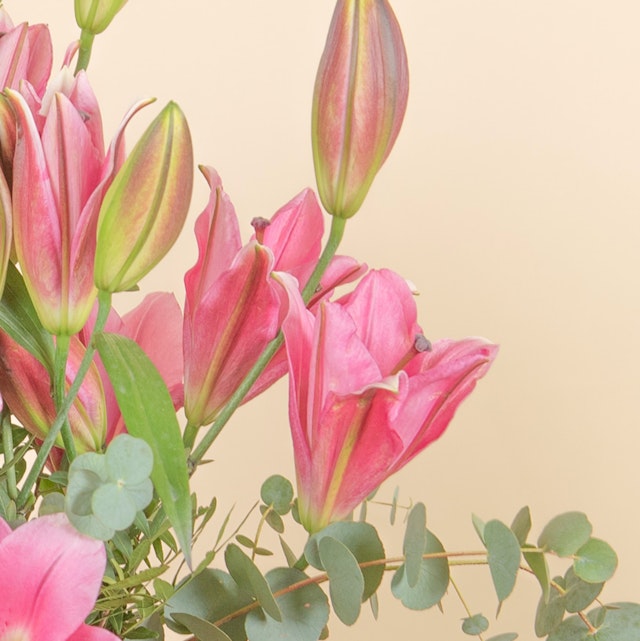 Bouquet di Gigli Rosa