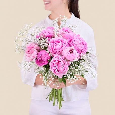 Peony Dream