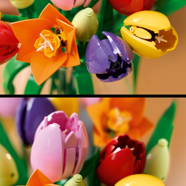 Primavera senza Fine LEGO®