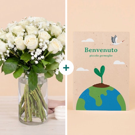 Benvenuto Piccolo