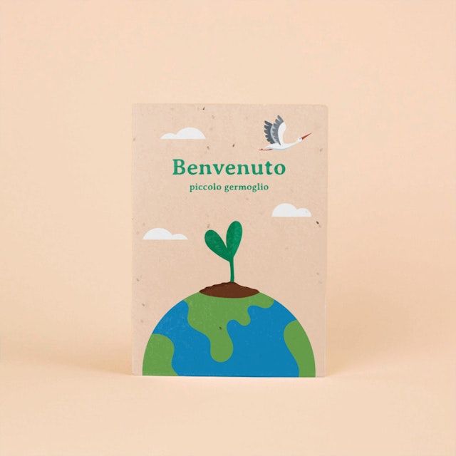 Benvenuto Piccolo