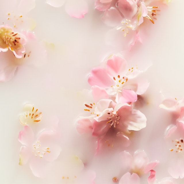 Gesto d'amore con RITUALS