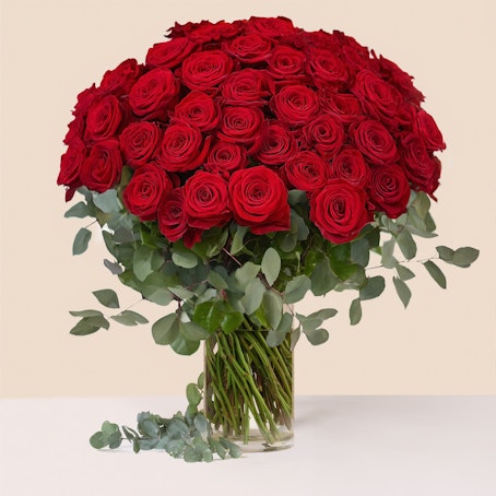 ​Amore senza limiti